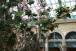 resIMG_20060512_0133.JPG